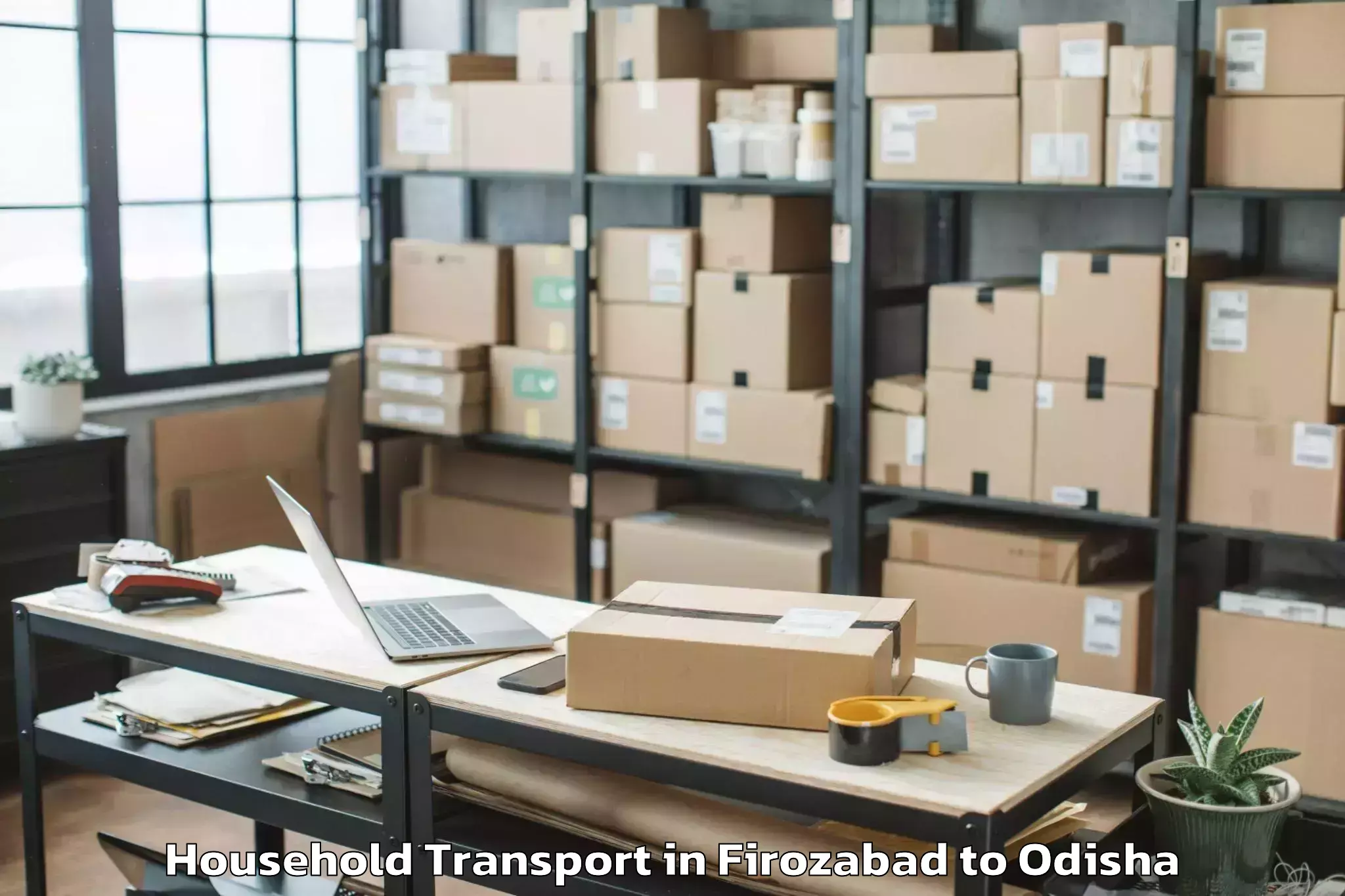 Trusted Firozabad to Daspalla Household Transport